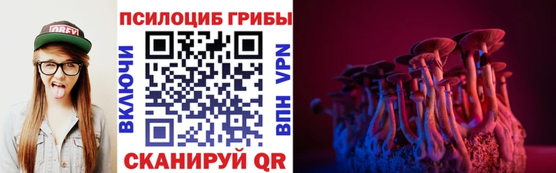 Галлюциногенные грибы мицелий  где купить наркоту  Сельцо 